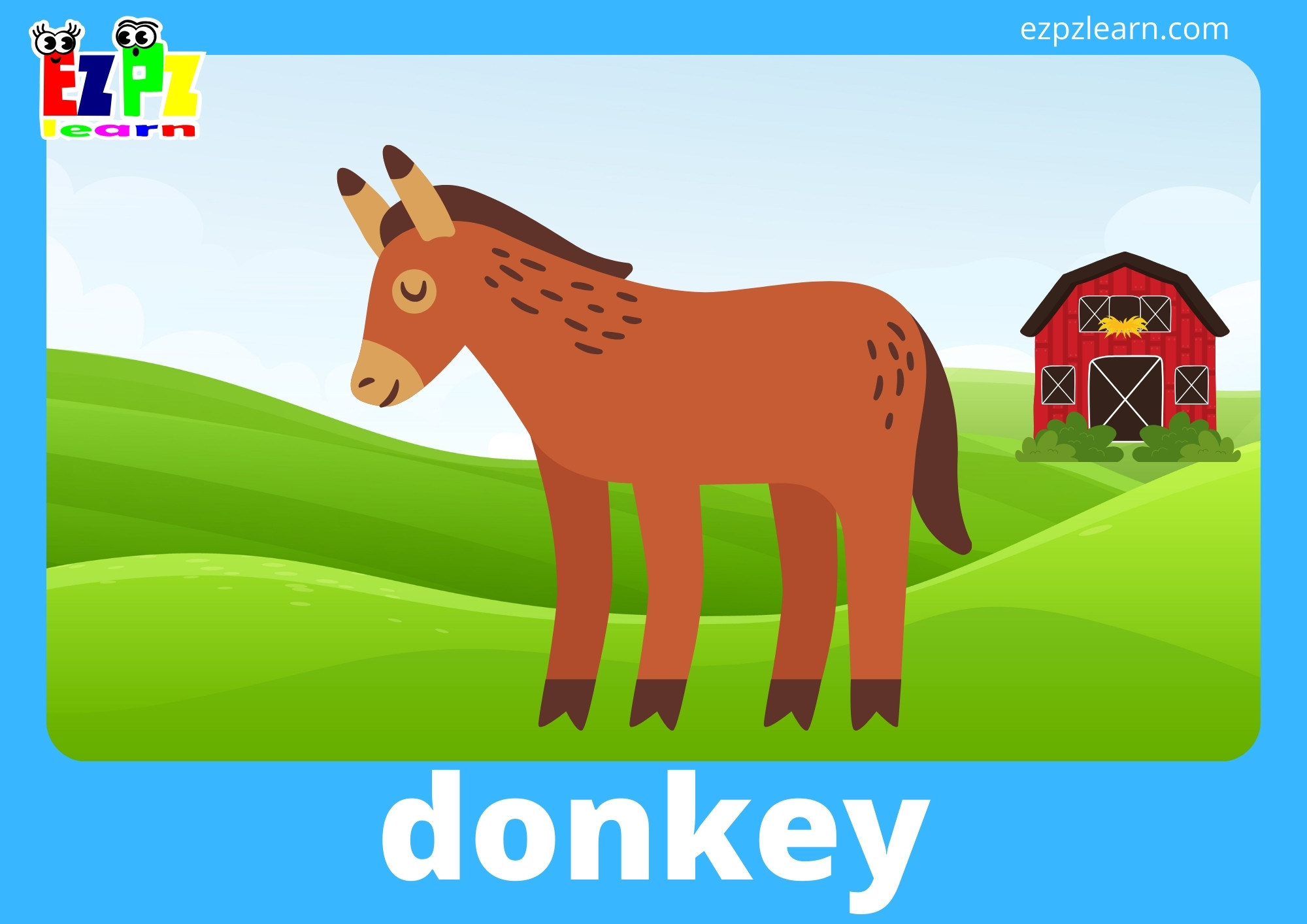 donkey